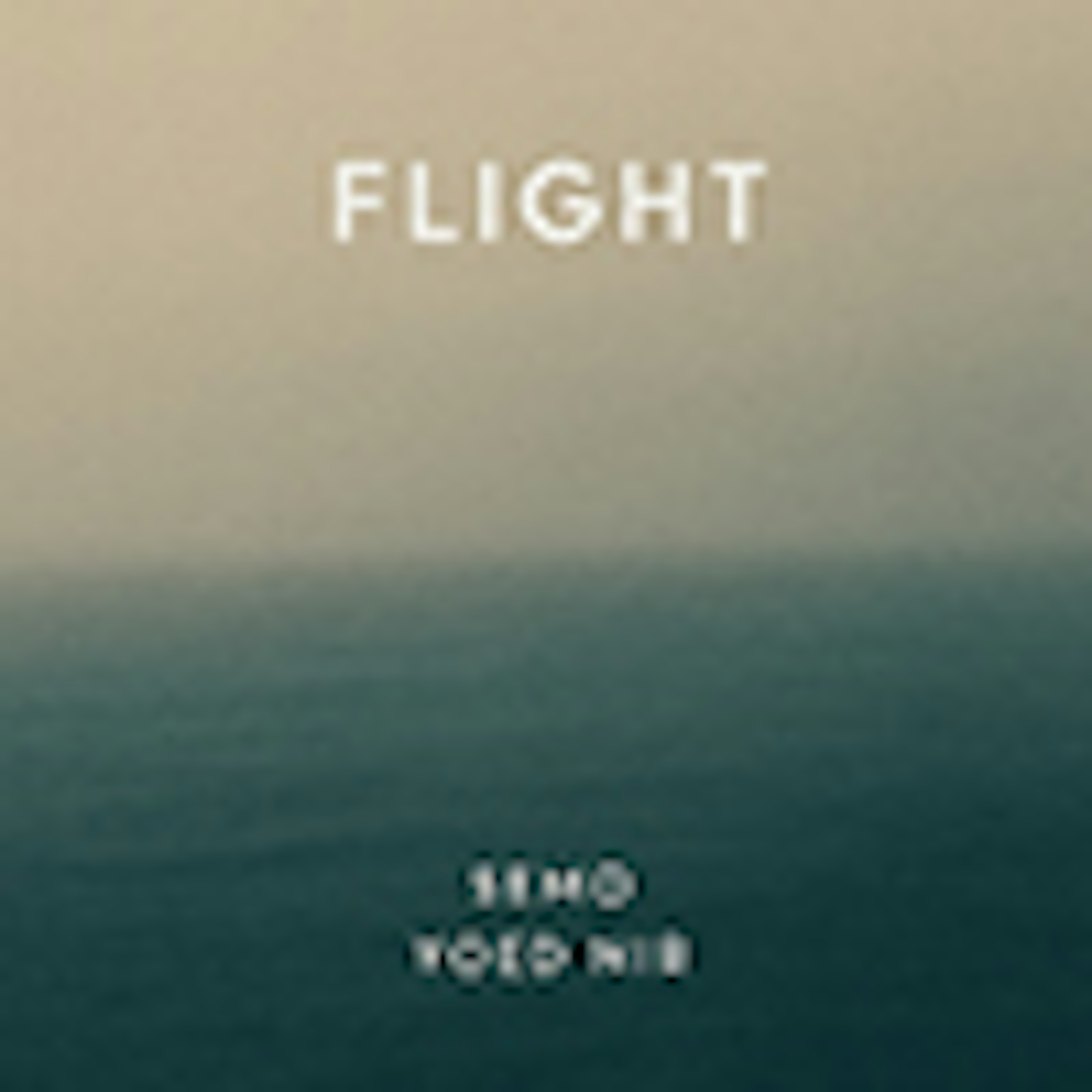 Flight album cover
